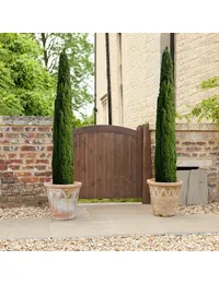 Ideal world gardening discount