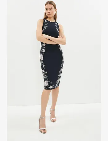 Coast odetta lace sales midi dress