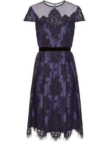 gina bacconi denise lace dress blue