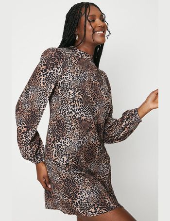 Animal print dress top dorothy perkins