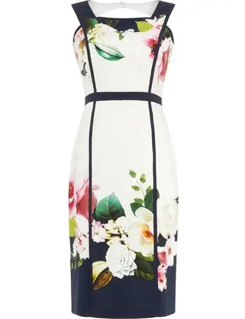 phase eight sheldon printed dress