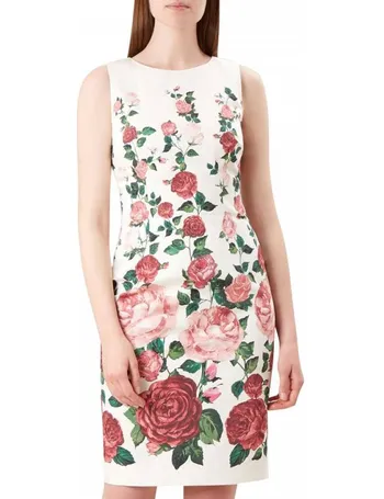 hobbs victoria rose dress