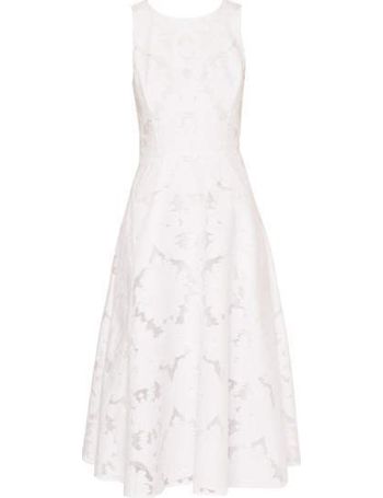 ted baker roshi dress