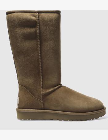 Schuh UGG Boots for Ladies | Ankle 