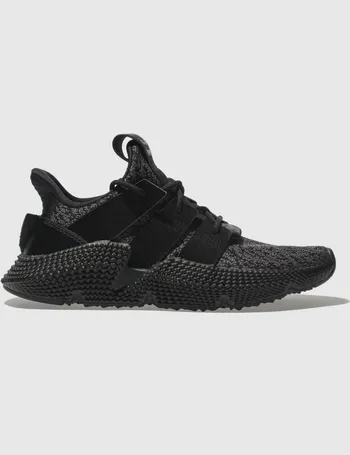 prophere junior