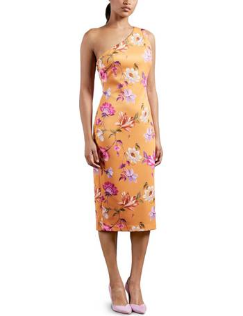 ted baker liziiey dress