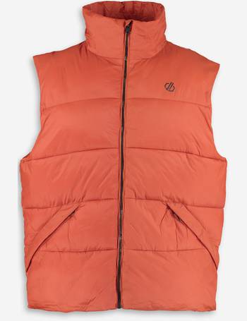 Ralph lauren hot sale gilet tk maxx