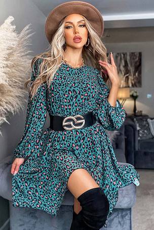 Vestry leopard 2024 print dress