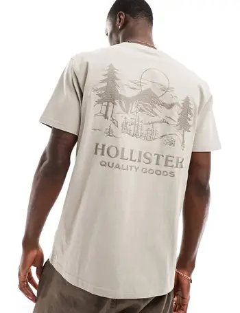 Shop Hollister Print T-shirts for Men up to 40% Off