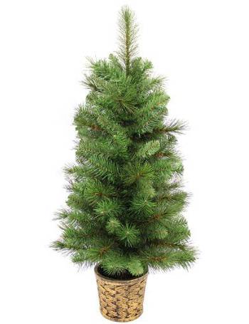 3 feet Green WeRChristmas Victorian Pine Christmas Tree in a Gold Resin Pot 