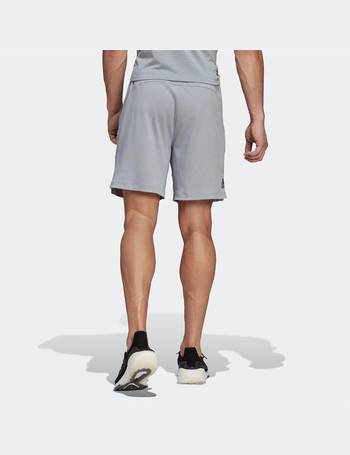 sports direct adidas shorts