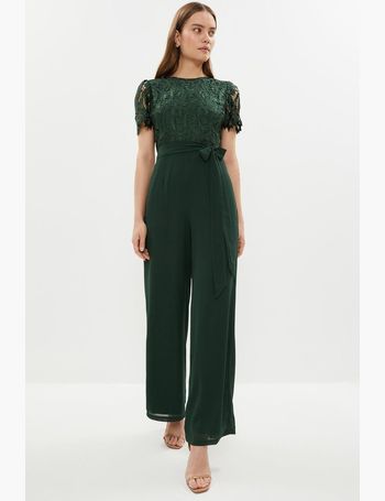 Coast green sale lace jumpsuit