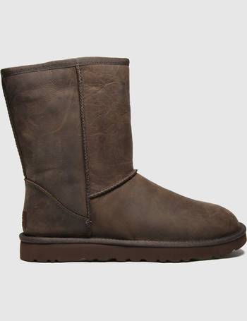 schuh ugg boots sale