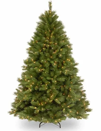 Boy Scout Christmas Trees Cashmere 2022 Buy 7Ft Christmas Tree - Up To 50% Off | Dealdoodle