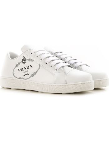 prada raffaello network