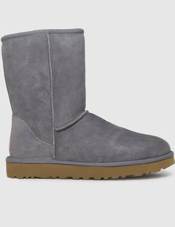 schuh grey uggs