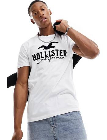 Hollister arm logo vertical ombre long sleeve t-shirt in green/black