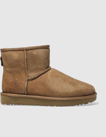 Schuh UGG Boots for Ladies | Ankle 