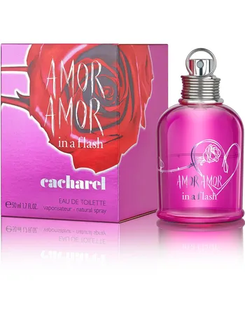 amor amor perfume debenhams