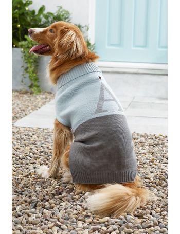 Initial 2025 dog jumper