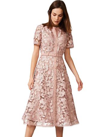 Phase eight hotsell frances lace dress