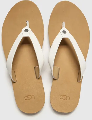 ugg flip flops schuh