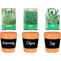 Simpa Terracotta Pots