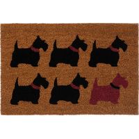 Funky Chunky Furniture Door Mats