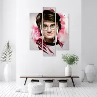 Harry Potter Canvas Prints