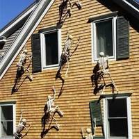 OnBuy Scary Halloween Decorations