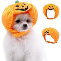 ManoMano Pet Halloween Costumes