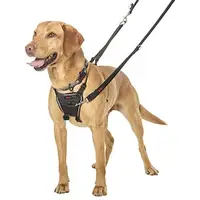 Halti Dog Harnesses
