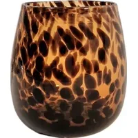 Geko Products Glass Jugs and Vases