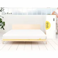 Eve Mattresses