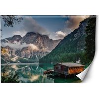 Alpen Home Wall Mural