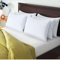 Wayfair Basics Washable Pillows