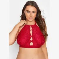 Yours Padded Bralettes