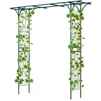 Costway Metal Garden Archs