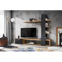 Latitude Run Industrial TV Units