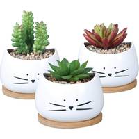 ECHOO Ceramic Plant Pots