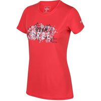 Secret Sales Women's Printed T-shirts