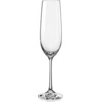 Robert Dyas Champagne Flutes and Saucers