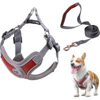 DENUOTOP Dog Collars and Leads