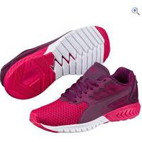 Women's Go Outdoors Sports Shoes