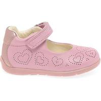 Jd Williams Sneakers for Girl