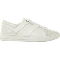 Women's Dune Lace Up Trainers