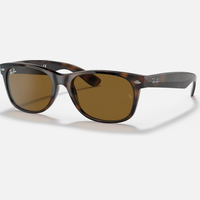 Ann's Cottage Ray-ban Men's Wayfarer Sunglasses