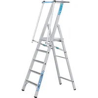 Wickes Step Ladders