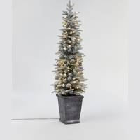 John Lewis Potted Christmas Trees