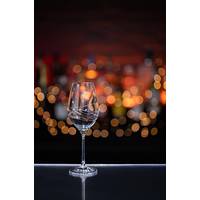 Dartington Crystal Red Wine Glasses